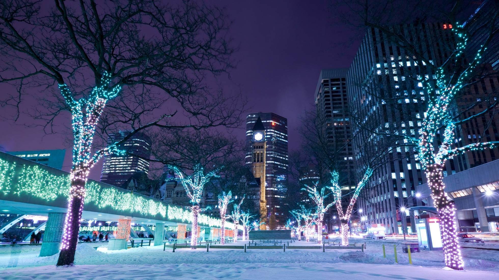 Toronto holiday lights on trees at night at Old City Hall and Queen Street